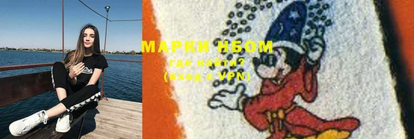 хмурый Алзамай