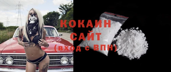 хмурый Алзамай