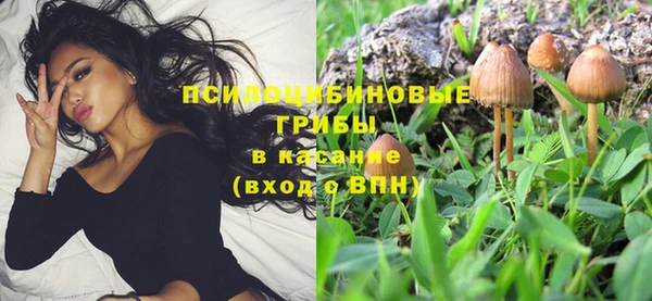 хмурый Алзамай