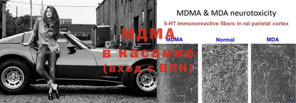 хмурый Алзамай